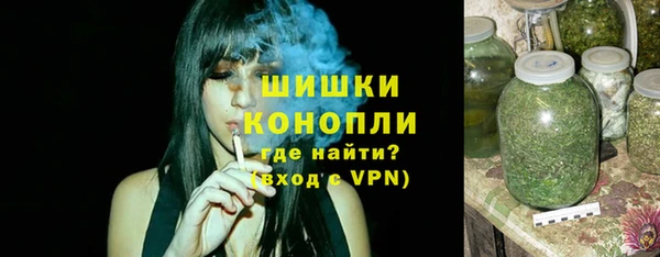 ПСИЛОЦИБИНОВЫЕ ГРИБЫ Горнозаводск