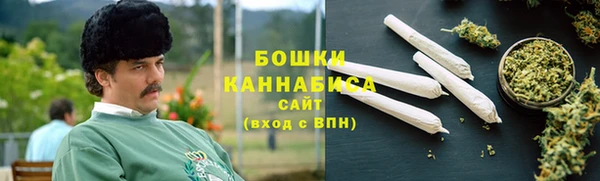 ПСИЛОЦИБИНОВЫЕ ГРИБЫ Горнозаводск