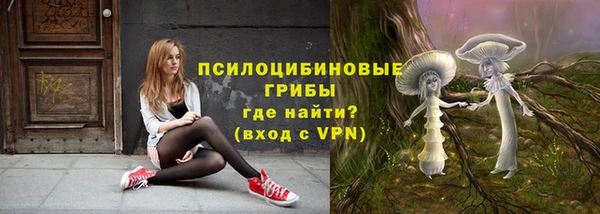 ПСИЛОЦИБИНОВЫЕ ГРИБЫ Горнозаводск
