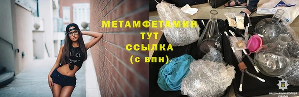 ПСИЛОЦИБИНОВЫЕ ГРИБЫ Горнозаводск