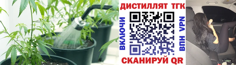 Купить закладки  Славск  Дистиллят ТГК вейп с тгк 