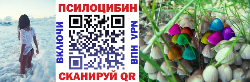 Купить где  Славск  Галлюциногенные грибы прущие грибы 